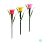 Kép 3/4 - LED-es szolár tulipánlámpa, sárga / piros / rózsaszín, 31 cm, 12 db / kínáló