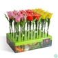 Kép 4/4 - LED-es szolár tulipánlámpa, sárga / piros / rózsaszín, 31 cm, 12 db / kínáló