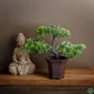 Kép 3/3 - Műnövény dekoráció - bonsai fa - 25 x 9 cm