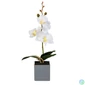 Kép 1/5 - Műnövény dekoráció - orchidea - 3 féle - 29,5 cm