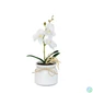 Kép 1/5 - Műnövény dekoráció - orchidea - 3 féle - 32,5 cm
