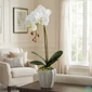 Kép 4/4 - Műnövény dekoráció - orchidea - 3 féle - 45 cm