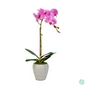 Kép 2/4 - Műnövény dekoráció - orchidea - 3 féle - 45 cm