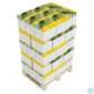 Kép 3/3 - Másolópapír A4, 80g, New Future Laser Copy, CIE 150 fehérség, 500ív/csomag