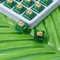 Kép 4/5 - Gateron Beer Switch - Prémium Tactile Mechanikus switch szett (10db)