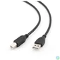 Kép 2/4 - Gembird CCP-USB2-AMBM-6 1,8m USB A apa - USB B apa fekete kábel