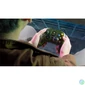 Kép 9/9 - Hyperkin M01618-GN Duchess Xbox Series|One/Windows 11|10 Xbox liszenszelt vezetékes zöld kontroller