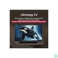 Kép 9/10 - LG 75" 75UA75006LA 4K UHD AI Smart TV