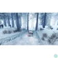 Kép 3/6 - WRC Generations PS4 játékszoftver