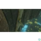Kép 3/6 - The Legend of Zelda: Tears of the Kingdom Nintendo Switch játékszoftver