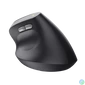 Kép 13/14 - Trust Bayo II Ergonomic vezeték nélküli fekete egér