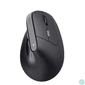 Kép 1/14 - Trust Bayo II Ergonomic vezeték nélküli fekete egér