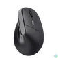 Kép 4/14 - Trust Bayo II Ergonomic vezeték nélküli fekete egér