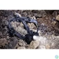 Kép 3/7 - Varta 17732101421 Indestructible H20 Pro/350 Lumen/fejlámpa